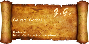 Gantz Godvin névjegykártya